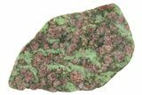 Pyrope, Forsterite, Diopside & Omphacite Slice - Norway #265171-1